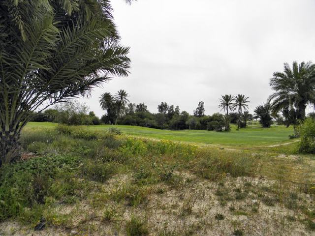 Golfplatz auf der Insel Djerba
