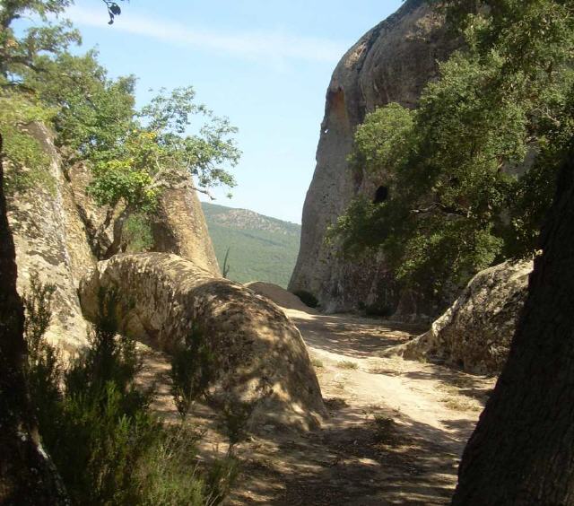 Nationalpark El Feija