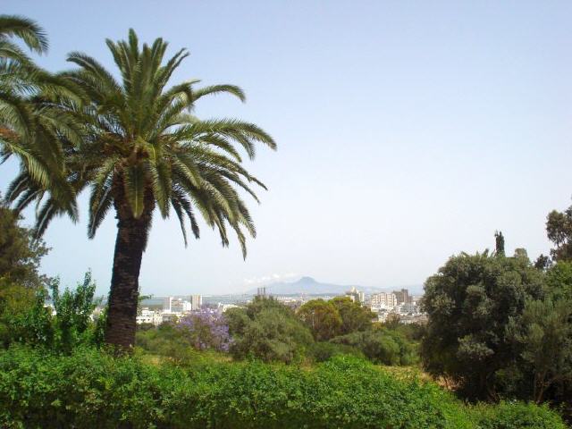 Tunis - Belvédère-Hügel