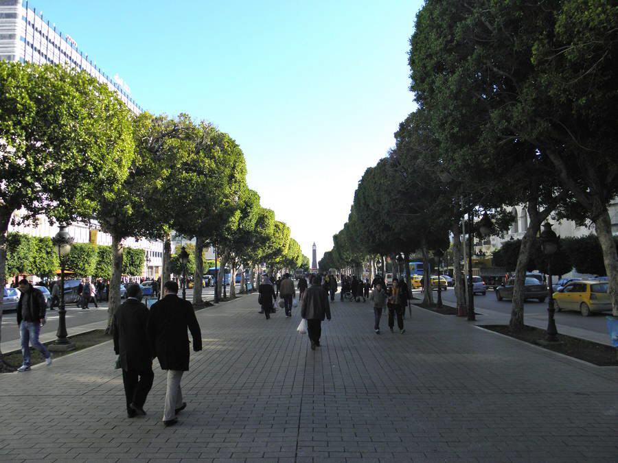 Tunis - Boulevard Habib Bourguiba